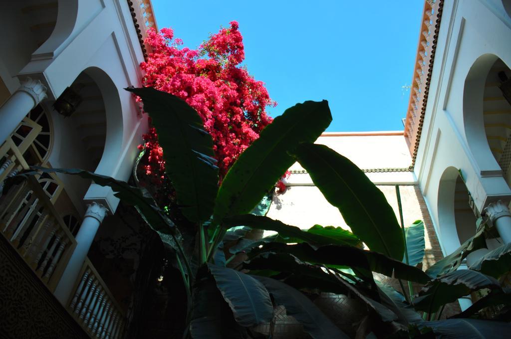 Riad Habib Marakéš Exteriér fotografie